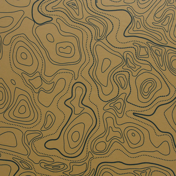 Coyote Topo